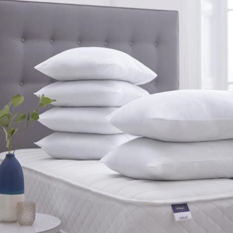 Filled Pillows pair