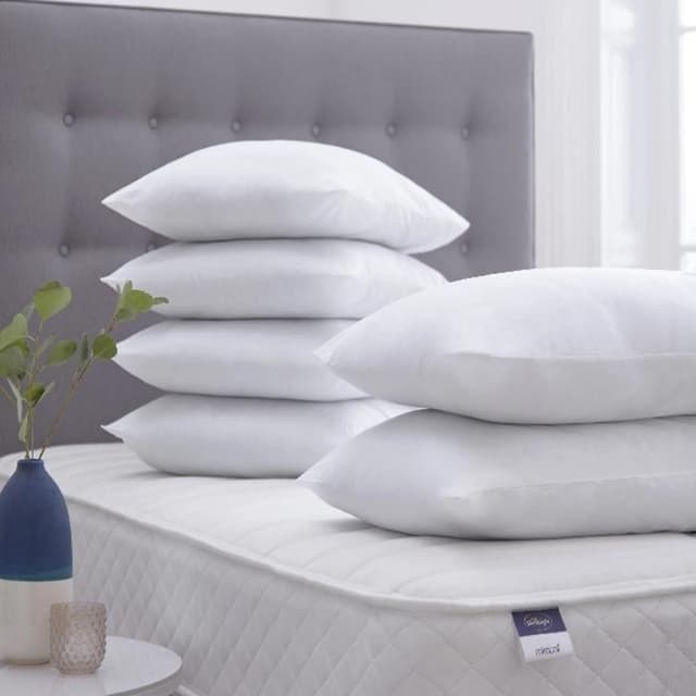 Filled Pillows pair
